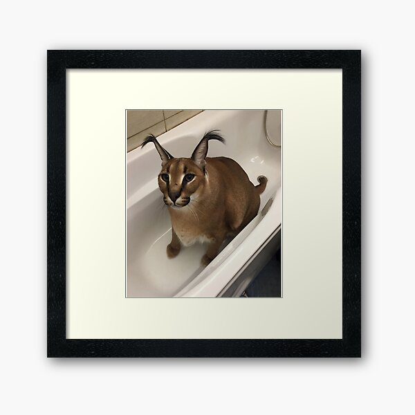 Item preview, Big Floppa in a Bathtub   designed and sold by Slavi-ART.