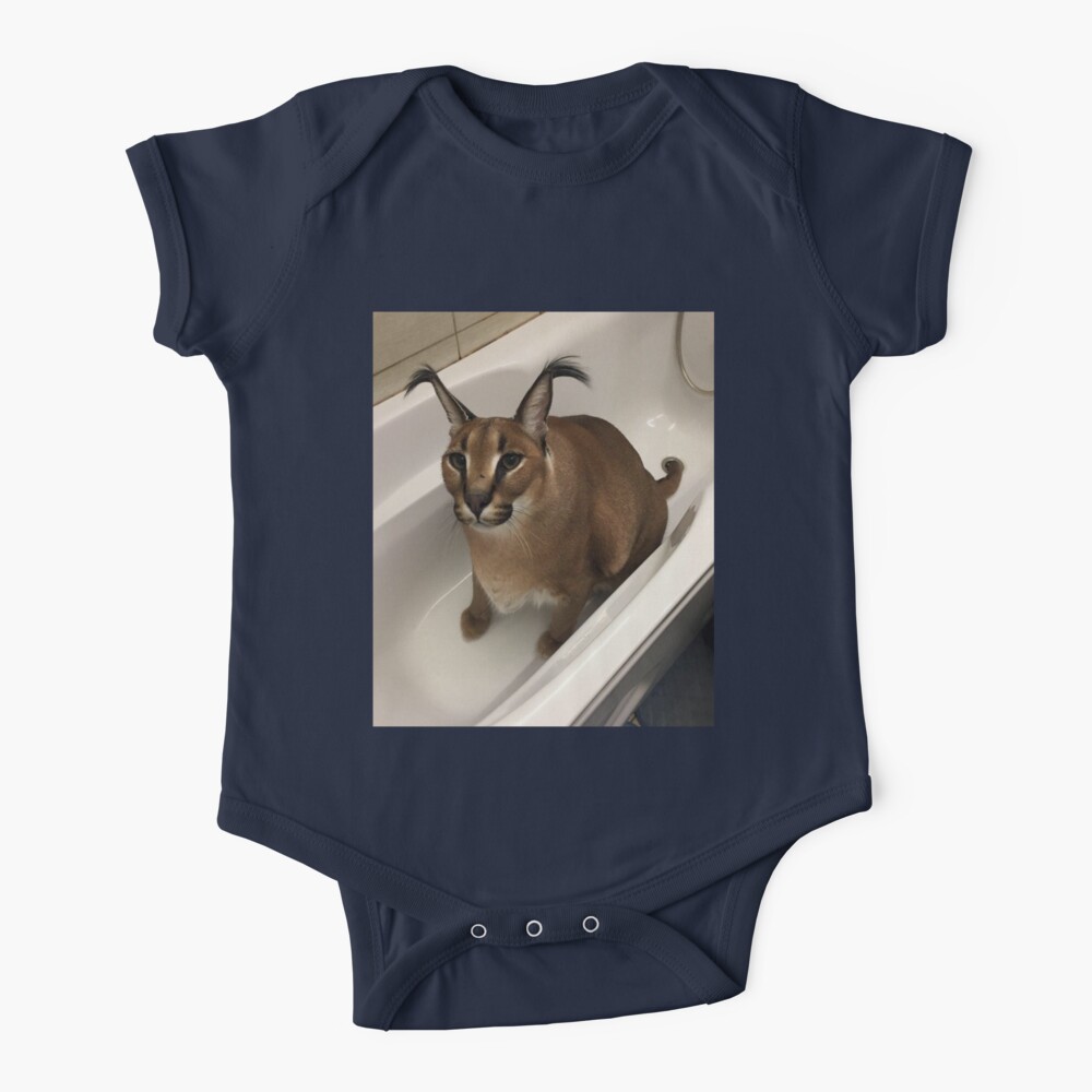 Baby Floppa Floppa GIF - Baby Floppa Floppa Caracal - Discover