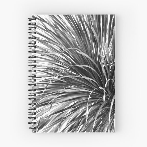 Aperçu de l'œuvre Plante du désert créée et vendue par Vmpdesign.