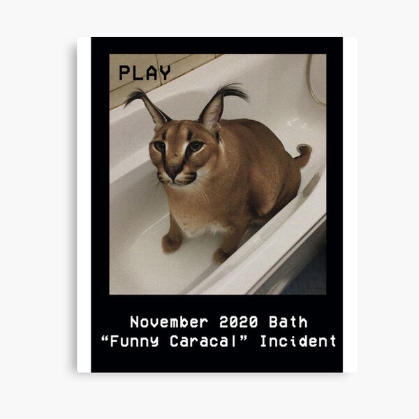 Big Floppa Wanted Poster Sticker Funny Caracal Cat Meme Floppa