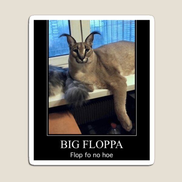 Victim number 5: Big Floppa - Imgflip
