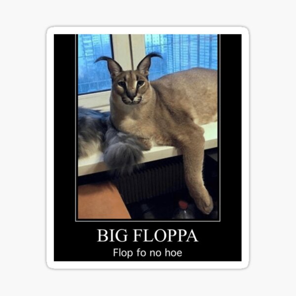 Big floppa x Random Cat - JustCallMeBasket - Wattpad