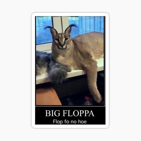 Sensei Floppa . . . . . . #ploob #floppa #floppafriday #caracal #caracalcat  #floppagang #memes #epicmemes #funny #flopfonohoe #ploobsday…