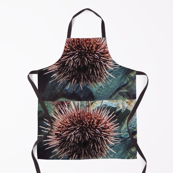 Item preview, Sea Urchin designed and sold by Chrissy34780.