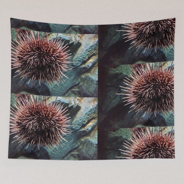Item preview, Sea Urchin designed and sold by Chrissy34780.