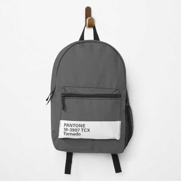 Pantone backpack hotsell tk maxx