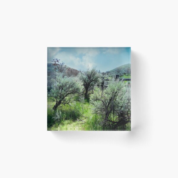 Item preview, Idaho High Desert Sagebrush designed and sold by Diane Arndt.