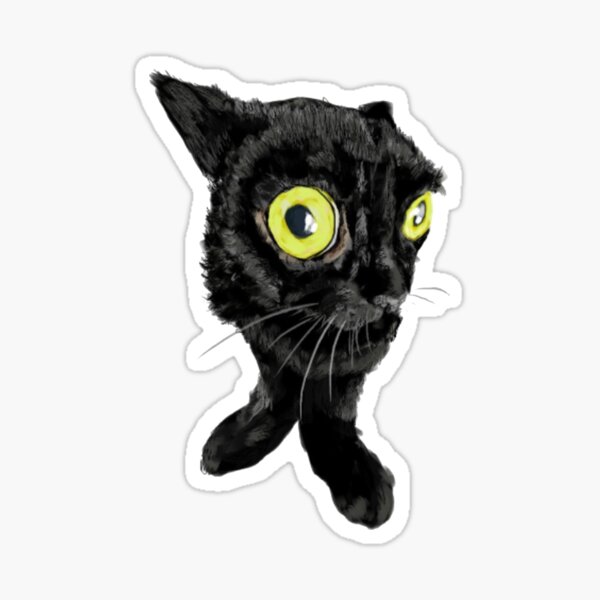 Funny Pop Music Cat Dancing Sticker for Sale by THANKS4BUYING