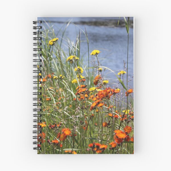 Item preview, Orange and Yellow Hawkweed designed and sold by Alyce Taylor.
