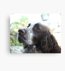 Hercules Canvas Print