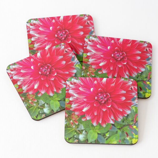 Item preview, Nicely Blooming Dahlia designed and sold by Sascha Richartz.