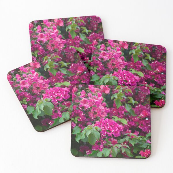 Item preview, Bougainvillea , Flowers , Spain designed and sold by Zdrojewski.