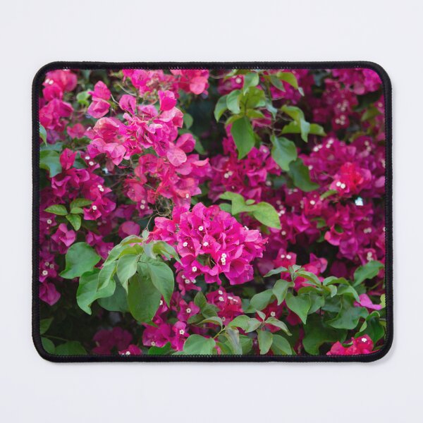 Item preview, Bougainvillea , Flowers , Spain designed and sold by Zdrojewski.