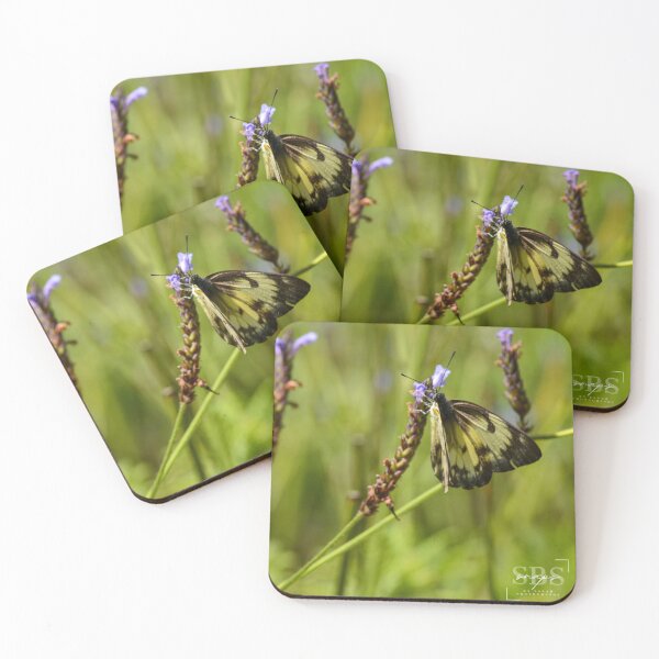 Item preview, Butterfly Fields designed and sold by sbsphotographyz.