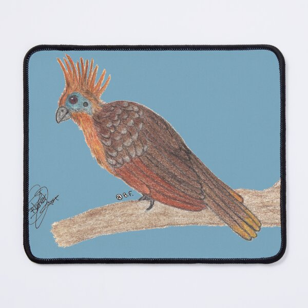 Item preview, Hoatzin designed and sold by BeritValk.