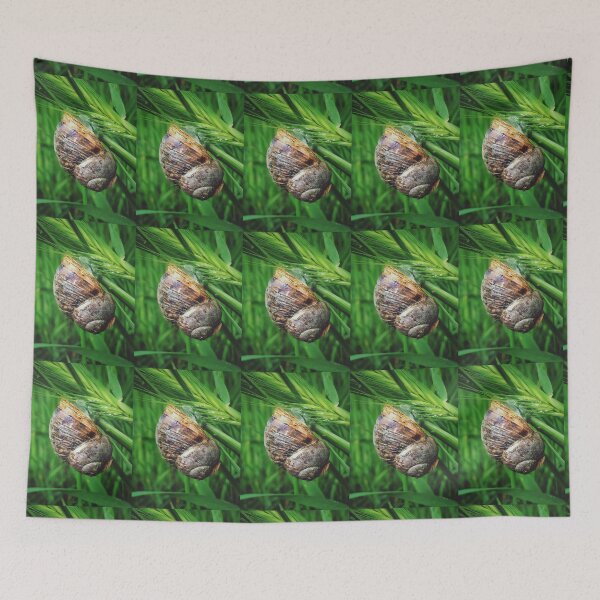 Item preview, The Snail designed and sold by zuluspice.