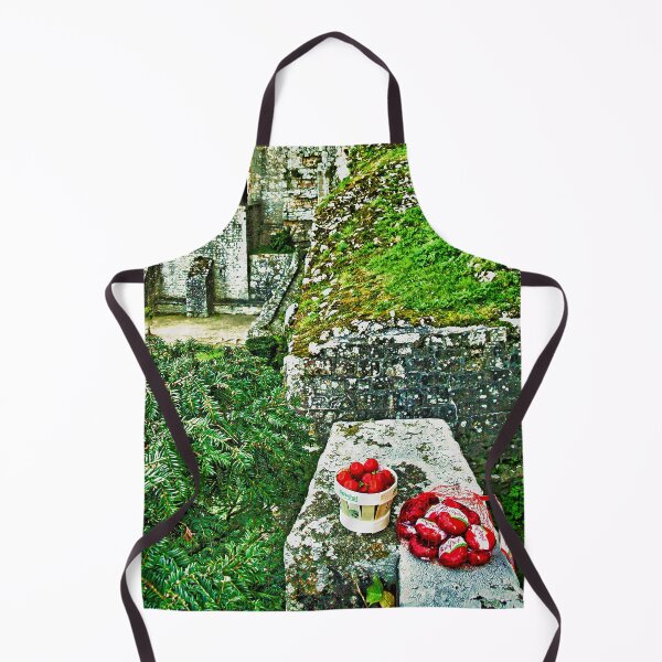 Artikelvorschau, Picknick am Mont Saint Michel entworfen und verkauft von Susan Maxwell Schmidt.