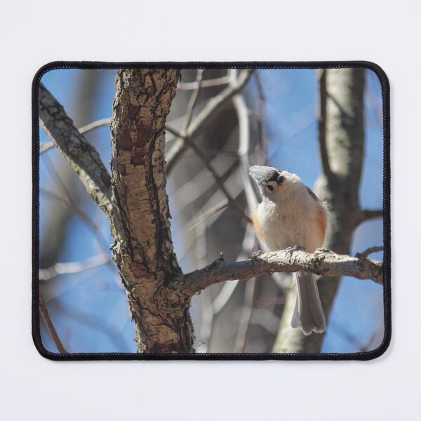 Item preview, Tufted Titmouse designed and sold by OneCreativePup.