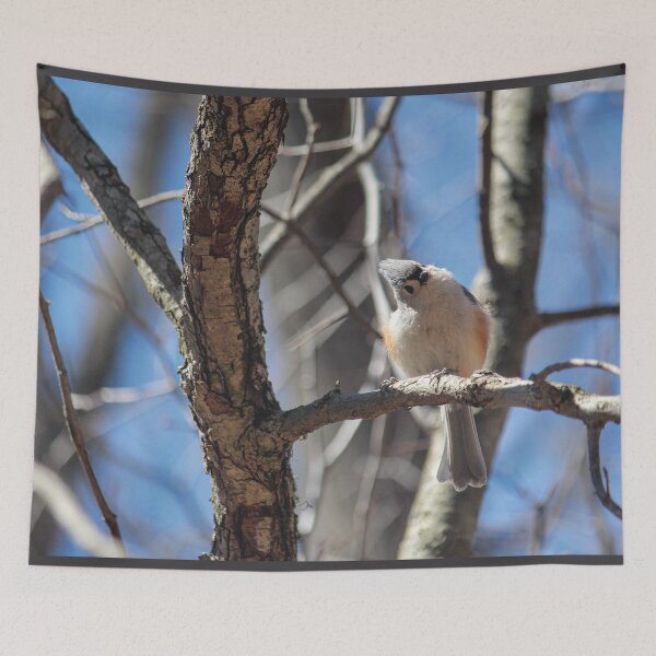 Item preview, Tufted Titmouse designed and sold by OneCreativePup.