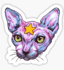 Star Cat Sticker