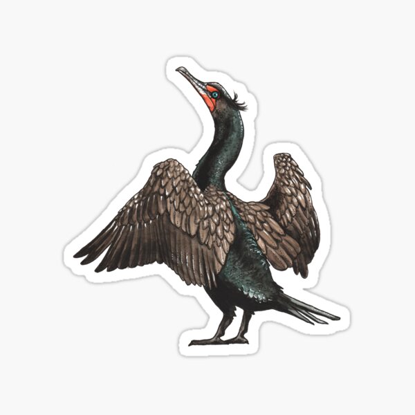 Item preview, Double-crested Cormorant designed and sold by watercolor-em.