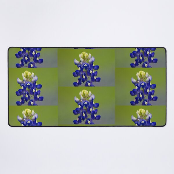 Aperçu de l'œuvre Bluebonnet créée et vendue par photoduque.