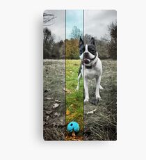 Meryl Canvas Print