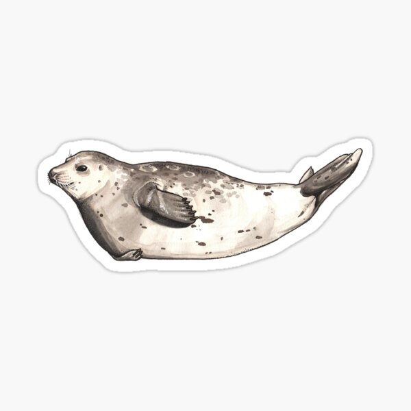 Item preview, Harbor Seal designed and sold by watercolor-em.