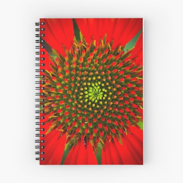 Item preview, Red Cone Flower designed and sold by JRRouse.