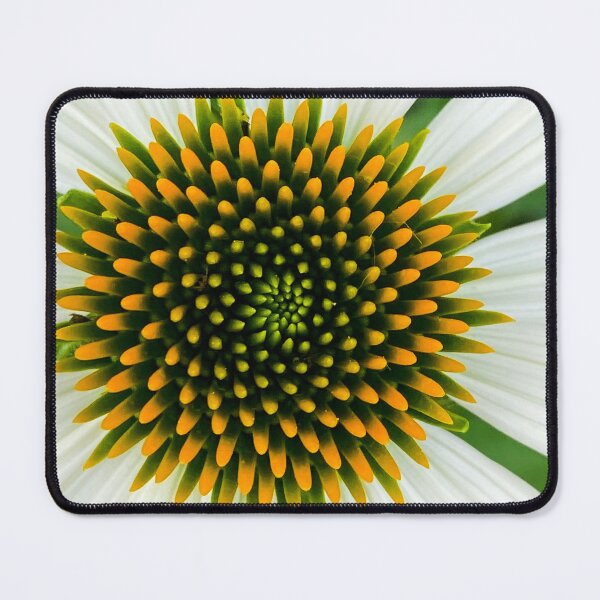 Item preview, White Cone Flower designed and sold by JRRouse.