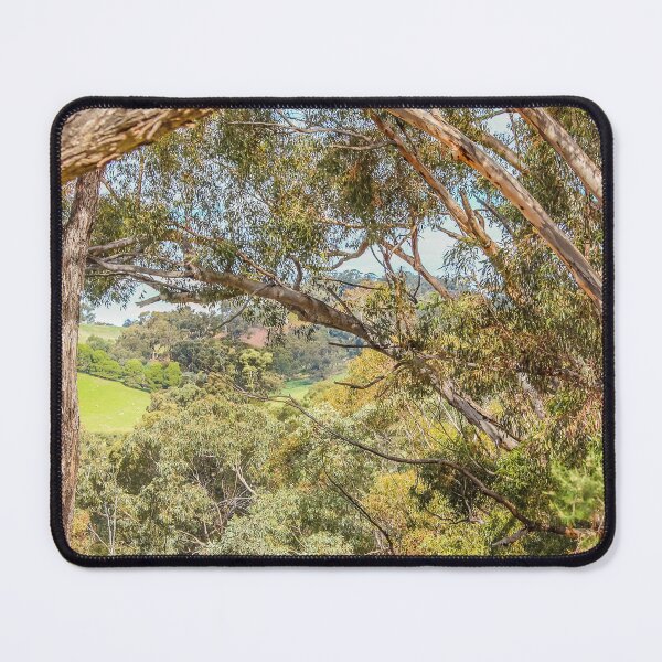 Item preview, Gum Trees designed and sold by DVJPhotography.