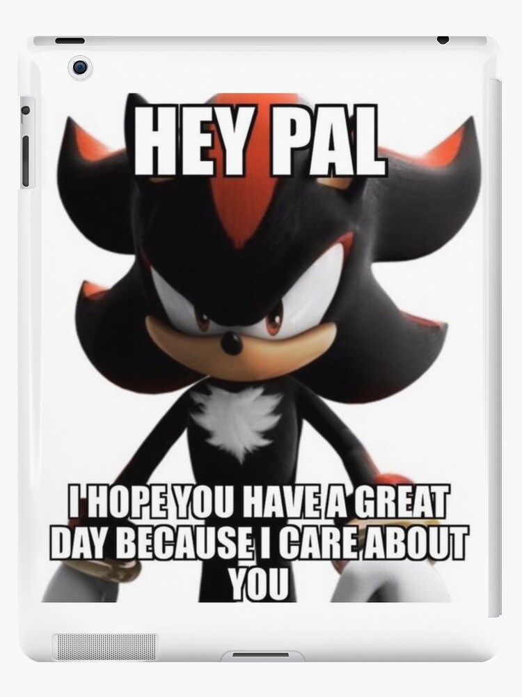 Shadow the hedgehog meme  Shadow the hedgehog, Hedgehog meme, Hedgehog