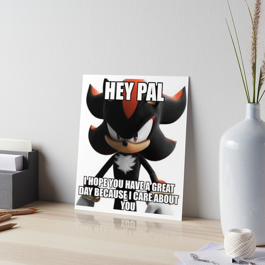 Shadow the Hedgehog Hey Pal Meme Kids T-Shirt for Sale by Reetwarnick0