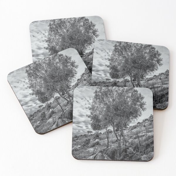 Item preview, Monochrome Tree designed and sold by DVJPhotography.