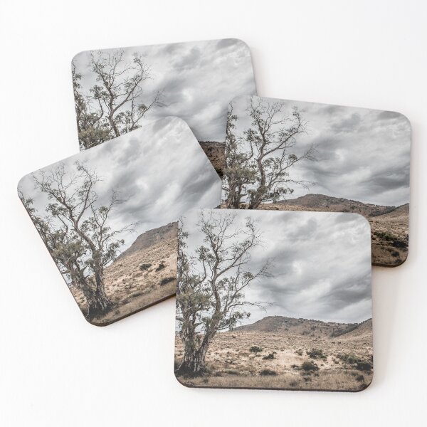 Item preview, Old Tree designed and sold by DVJPhotography.