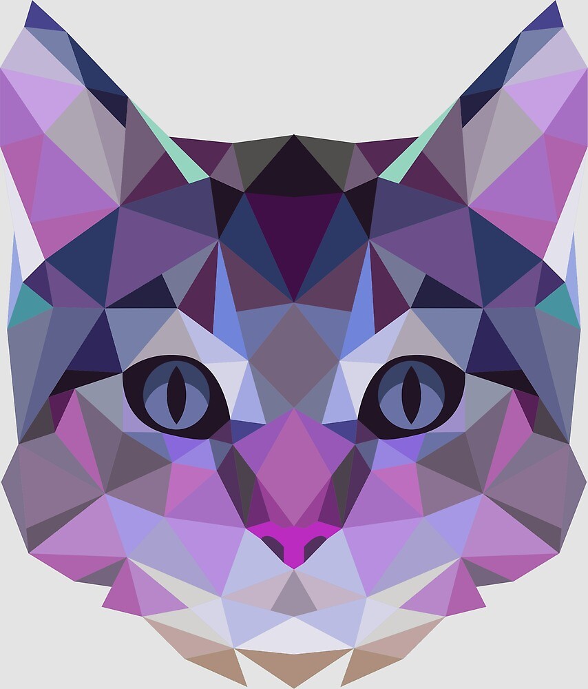  Geometric  Cat  by EsotericExposal Redbubble