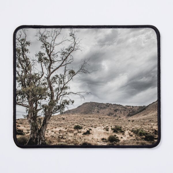 Item preview, Old Tree designed and sold by DVJPhotography.