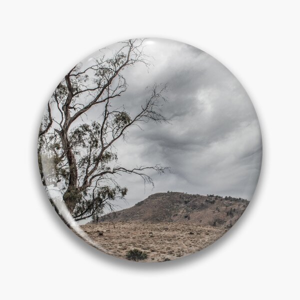 Item preview, Old Tree designed and sold by DVJPhotography.
