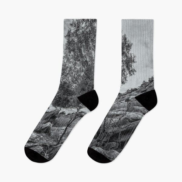 Item preview, Monochrome Tree designed and sold by DVJPhotography.