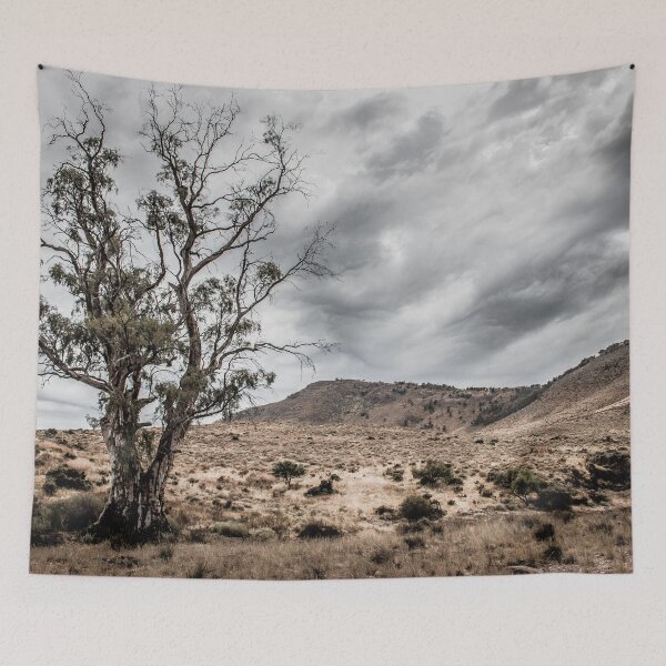 Item preview, Old Tree designed and sold by DVJPhotography.