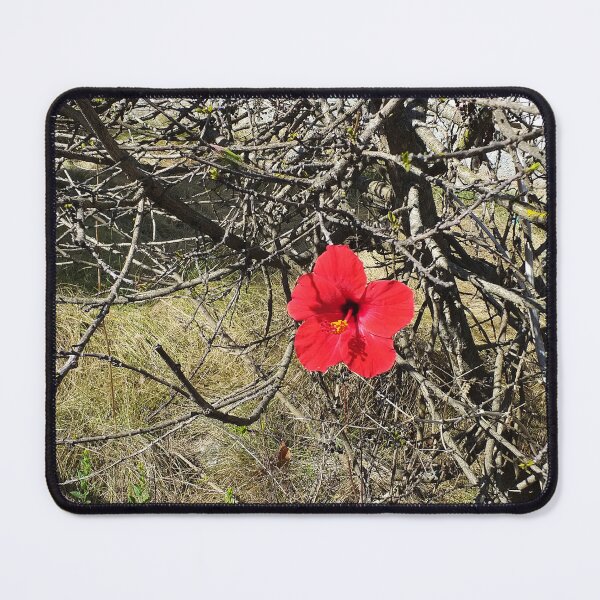 Item preview, Being Alive - Red Hibiscus Flower designed and sold by Anna Lemos.
