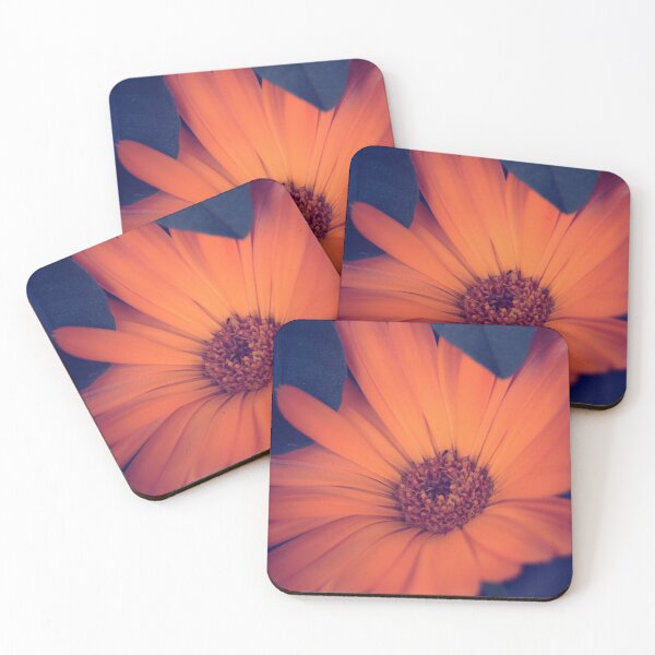 Item preview, Daisy designed and sold by DVJPhotography.
