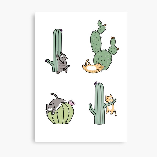 Kakteenkatzen Metallbild