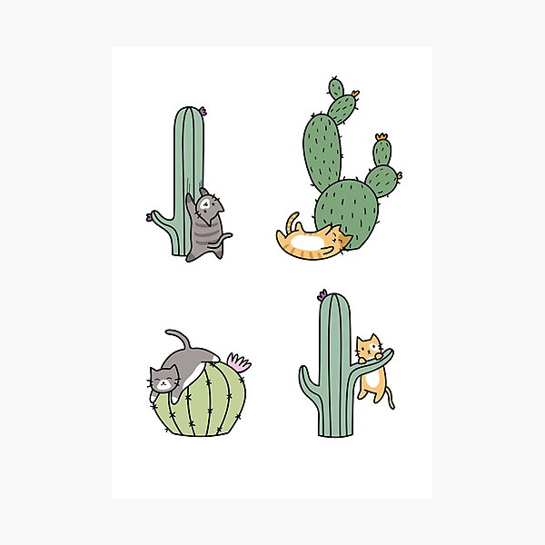 Cacti Cats Photographic Print