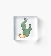 Bloque acrílico Gatos de cactus