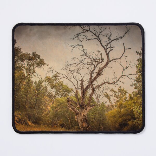 Item preview, Trees designed and sold by DVJPhotography.