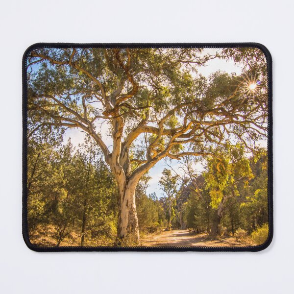 Item preview, Tree designed and sold by DVJPhotography.