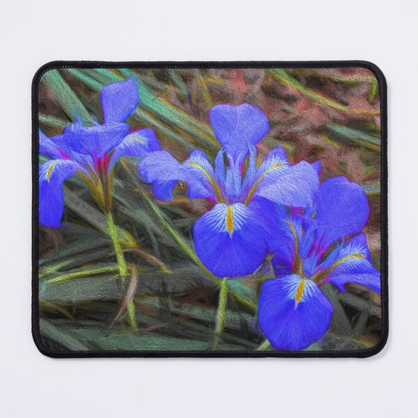 Item preview, Iris designed and sold by DVJPhotography.
