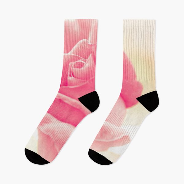 Artikelvorschau, Pinke Rose entworfen und verkauft von DVJPhotography.