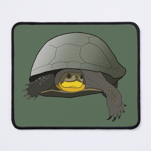 Item preview, Blanding's Turtle 1 designed and sold by Bird Dog Designs.